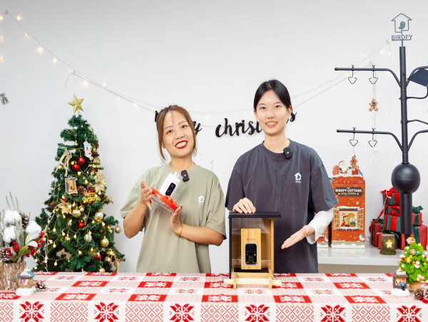  Birdfy Unveils New Products and App Features During YouTube Live Event 