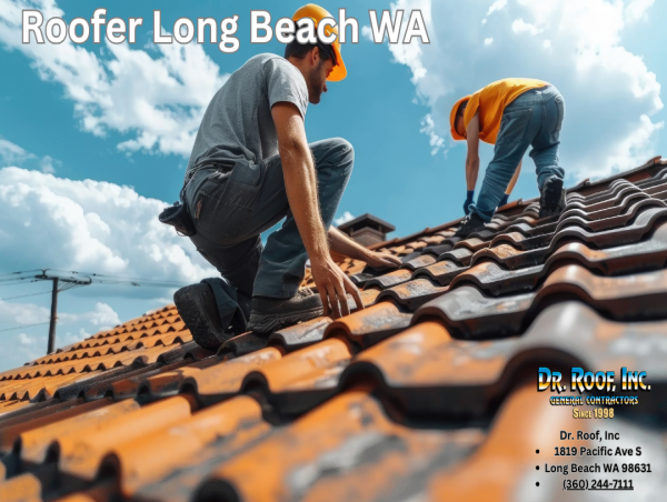  Dr. Roof, Inc. Unveils a New Website for Long Beach, WA Customers 