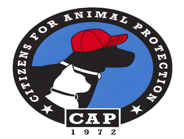 Anonymous Benefactor Pledges a $150,000 Giving Tuesday Match to Citizens for Animal Protection