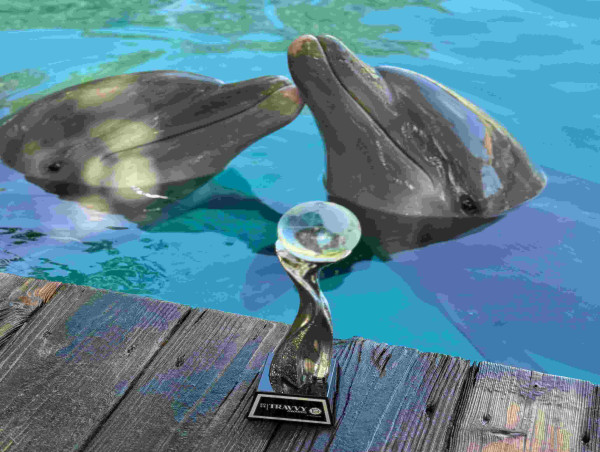 THE DOLPHIN COMPANY RECEIVES AWARD FOR BEST WATER PARK IN MEXICO AT THE TRAVVY AWARDS