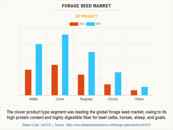 Forage Seed Market Analysis, Size, Growth, Trends, Segmentation, Opportunity and Forecast to 2031 