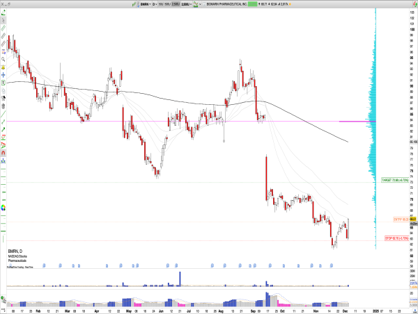  Long BMRN: BioMarin Q3 Earnings Deliver 28% Revenue Growth, Raised Guidance, and Bullish Reversal from $65 Signals Upside Potential 