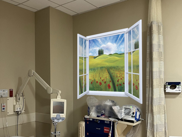  Inspirational Artist Transforming Hospital Rooms One View at a Time 