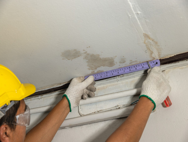  Identifying Mold: Recognizing the Signs, Smells, and Hidden Risks 