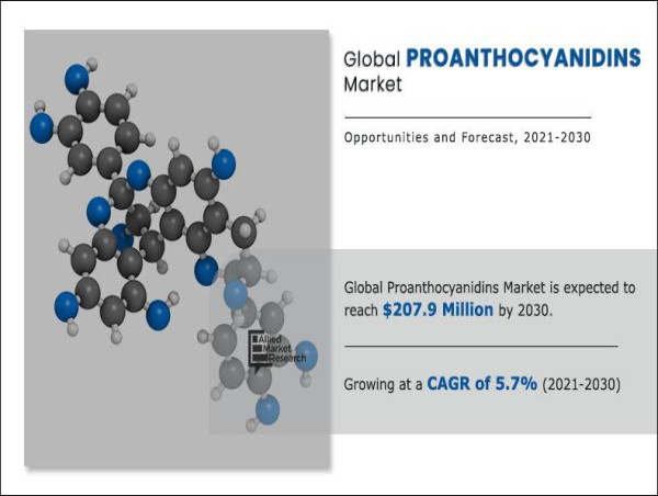  Proanthocyanidins Market Drivers Shaping Future Growth, Revenue $207.9 million by 2030: CAGR 5.7% 