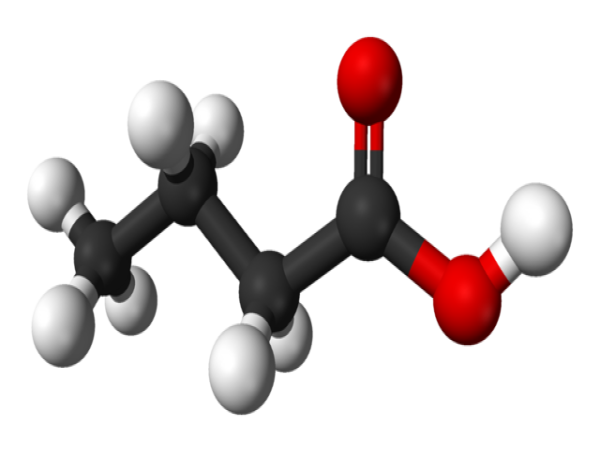  Propionic Acidemia Therapeutic Market Growth Driven by Advancements in Treatment Industry Growth Forecast 2024 - 2031 