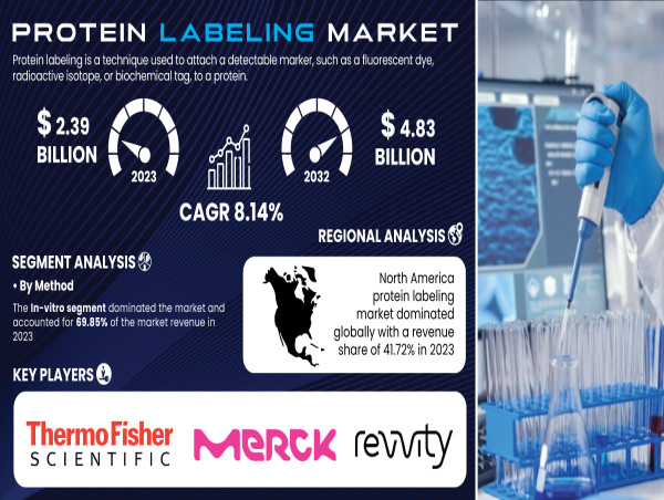  Protein Labeling Market to Surpass $4.83 Billion by 2032, Driven by Innovations in Biotechnology & Personalized Medicine 