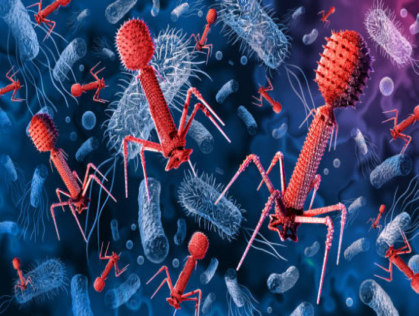  Bacteriophage Therapy Market Set to Witness Significant Growth by 2024-2031:Phagelux, Inc., Nextbiotics, InnoPhage, Ltd 