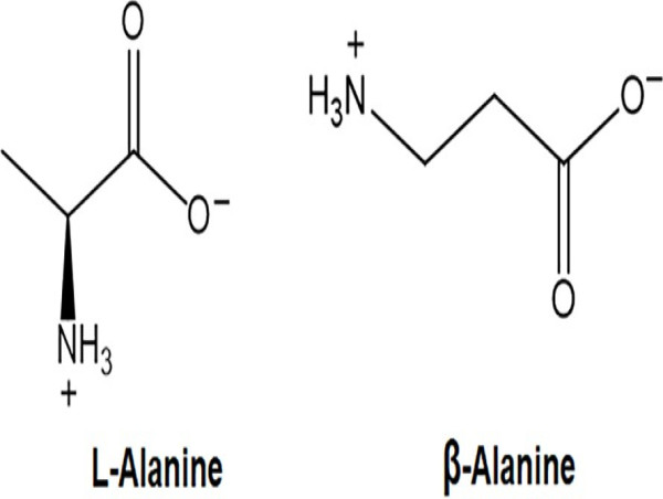  Beta-Alanine Market Set for Unprecedented Growth with a Projected CAGR of 5% by 2030 