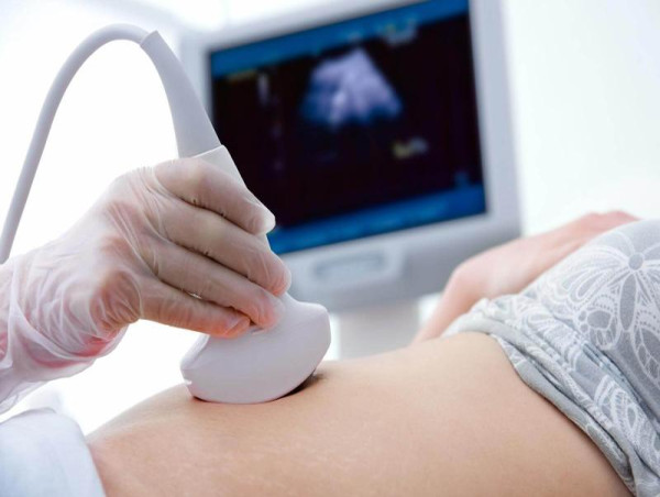  Ultrasound Market Size 2025 Industry Share, Supply-Demand, Growing Trends, Top Players Analysis & Regional Forecast 2034 