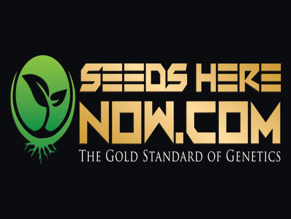  Seeds Here Now Announces 12 Days of Deals Sale on Cannabis Seeds for the Holidays 