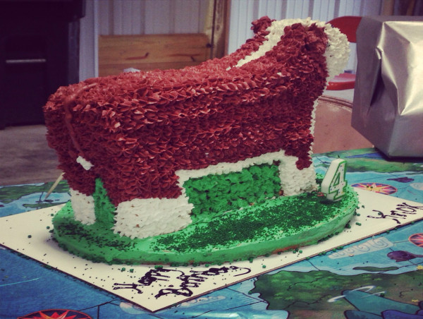  Livestock Cake Market Size to Hit US$ 1.38 Bn, Globally, by 2031 Growing at 6.2% CAGR 