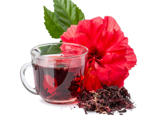  Hibiscus Extract Market through Service to Soar at a CAGR of over 8.3% from 2022 to 2032 