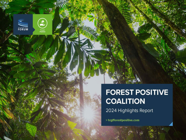  CGF’s Forest Positive Coalition Report shows consumer goods sector is increasing transparency to reduce deforestation 
