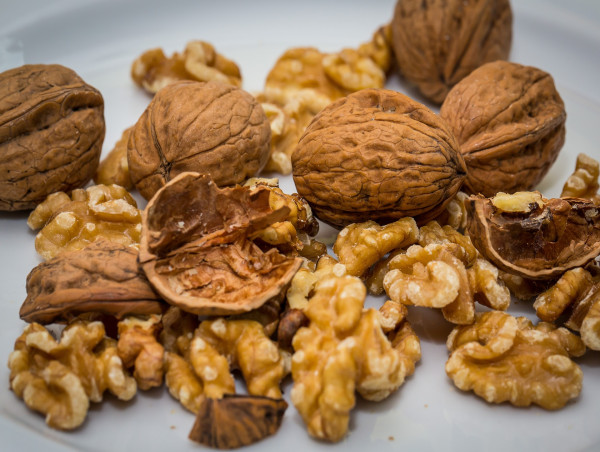  Walnut Market Trends 2031: Strong Growth with a 4.3% CAGR from 2023 to 2031 | TMR 