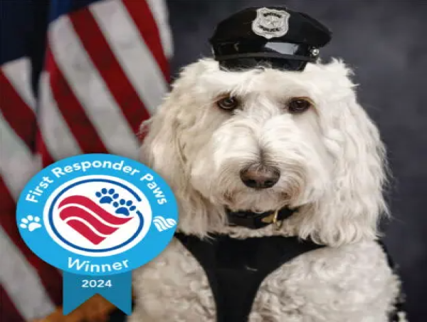  ASHEVILLE THERAPY DOG WINS NATIONAL “FIRST RESPONDER PAWS AWARD” 