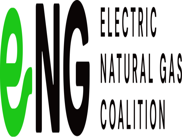 e-NG Coalition names Yves Vercammen Chair, Yuji Kobayashi Vice-Chair of Board