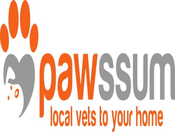  Pawssum's Mobile Vets Bring Comprehensive Pet Care to Melbourne Homes 