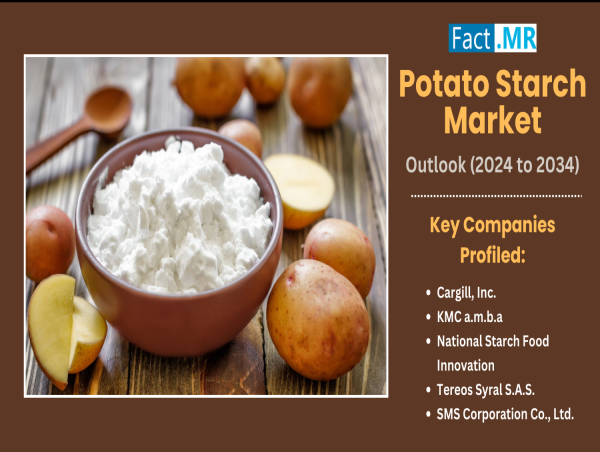  Potato Starch Market Forecast: $7.69 Billion by 2034 with Steady Growth 