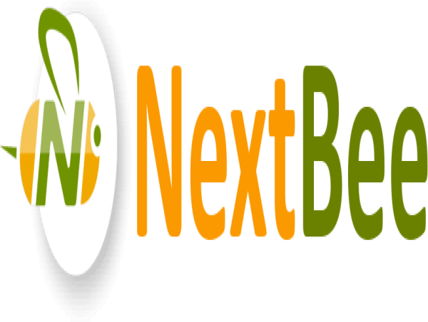  NextBee Expands Sustainability Solutions with Addition of Solar Energy Expert Steve Kohn 