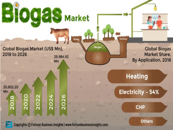 Rapid Growth: Biogas Market Poised to Reach US$ 10.6 Billion by 2030 at 9% CAGR | TMR