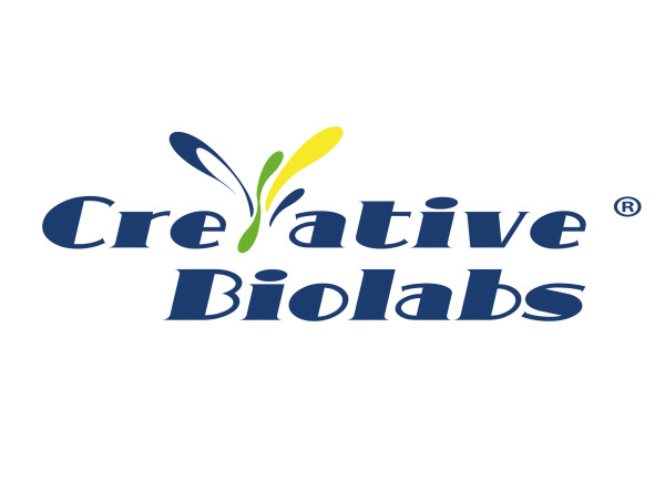  Creative Biolabs: Optimizing the 