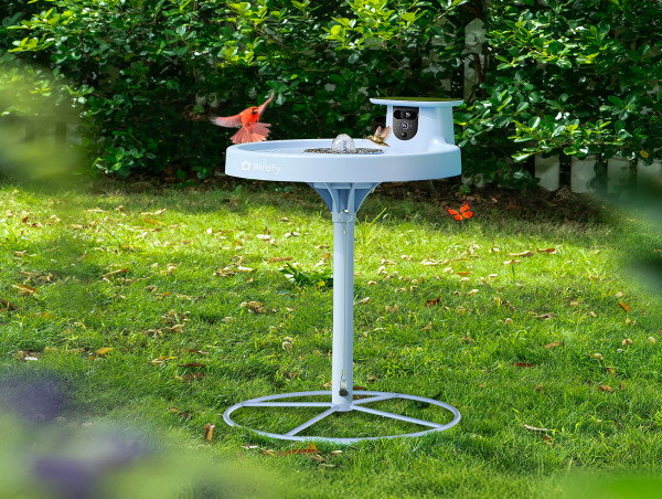  Birdfy Unveils the Birdfy Bath Pro and Birdfy Feeder Metal 