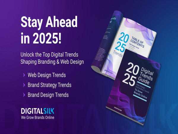  Digital Silk Unveils 2025 Guide to Growing Brands Online 