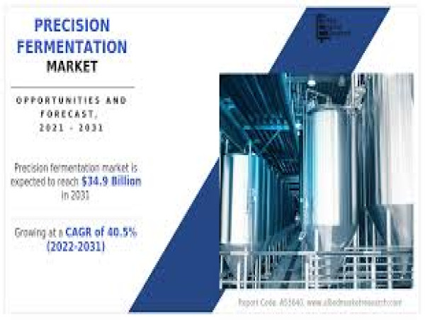  Precision Fermentation Market Size Expected to Reach $34.9 Billion by 2031 