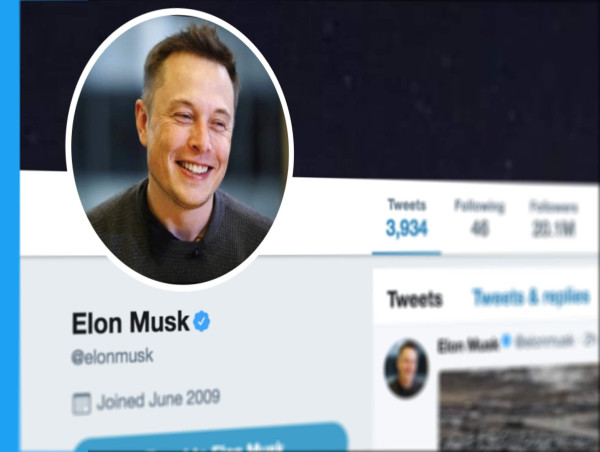  Elon Musk sends another meme coin soaring 460%: check out details 