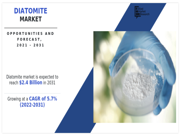  Diatomite Market Outlook, Top Leading Players, Segments and Forecast by 2031 