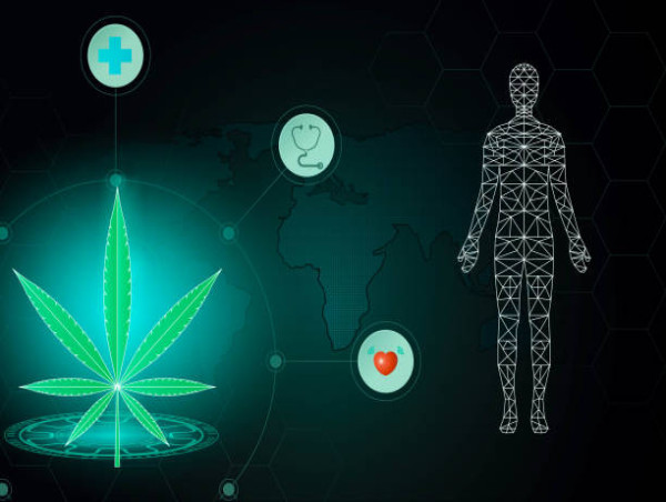  Cannabis Technology Market Set to Witness Significant Growth by 2024-2031: Aphria Inc., VIVO Cannabis Inc., Hexo Corp 