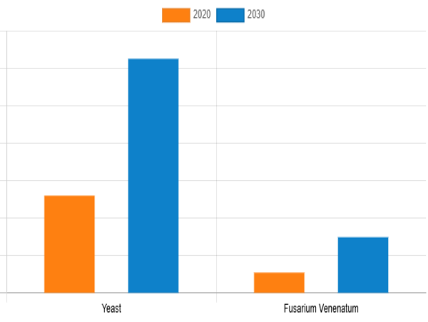 Fungal Protein Market Dynamic Growth Factors, In-Depth Analysis And Outlook By Forecast To 2030