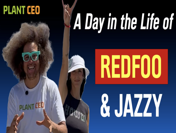  A New Year’s Inspiration: Redfoo & Jazzy’s Plant-Based, LA Lifestyle 