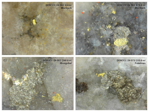  Sitka Drills 85.0 Metres of 1.12 Grams per Tonne Gold and Reviews 2024 Highlights at the RC Gold Project in Yukon 