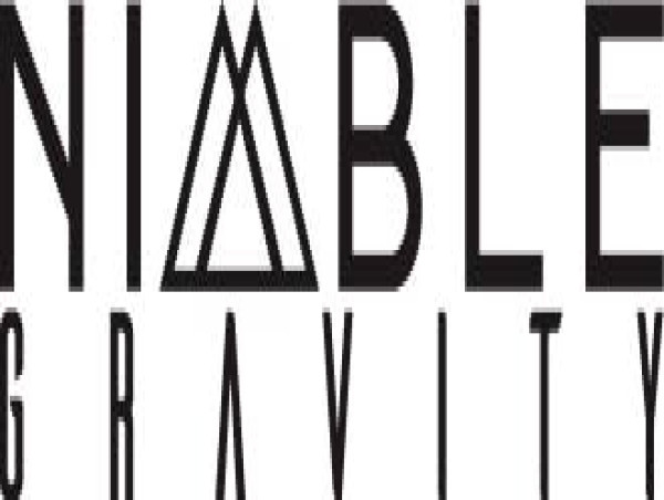  Nimble Gravity Receives Investment from Rallyday Partners to Meet Increasing Demand for AI and Data Consulting Services 