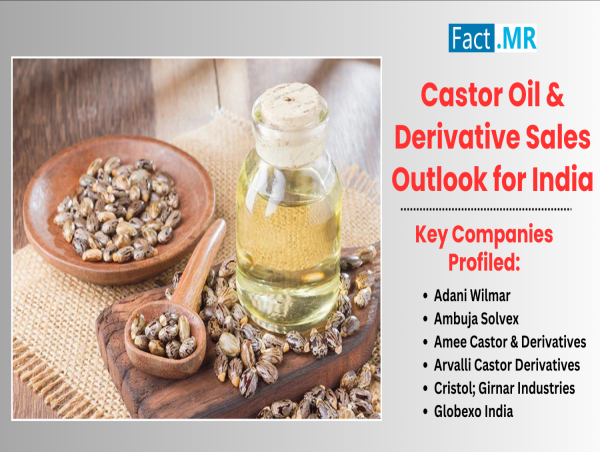  Exploring the Demand and Trends of Castor Oil & Derivatives in India: A Decade-Long Market Review 