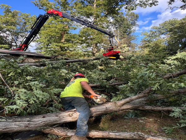  Patriot Tree Service Introduces Storm Preparedness Program Amid Rising Severe Weather Events 