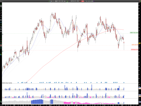  Long AIG: AIG’s Double Bottom Signals Rebound, Targeting $80 