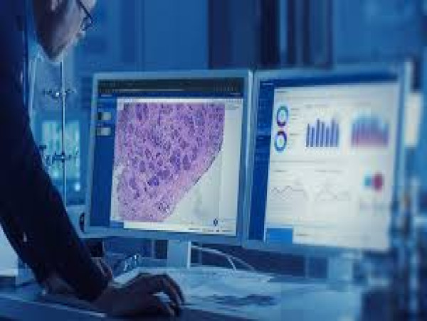  Digital Pathology Market Detailed in New Research Report By 2031 | Leica Biosystems Nussloch GmbH, Olympus Corporation 