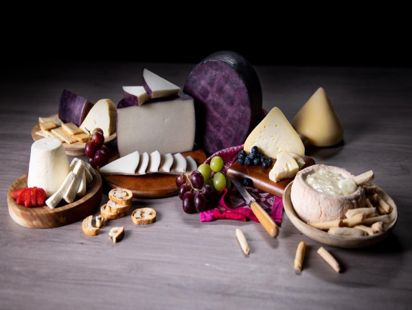  Unique cheeses at the top of European gastronomy 