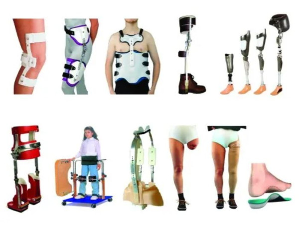  China Orthosis And Prosthetics Market Projected To Witness Substantial Growth, 2025-2032: Nobel China Limited, Ottobock 