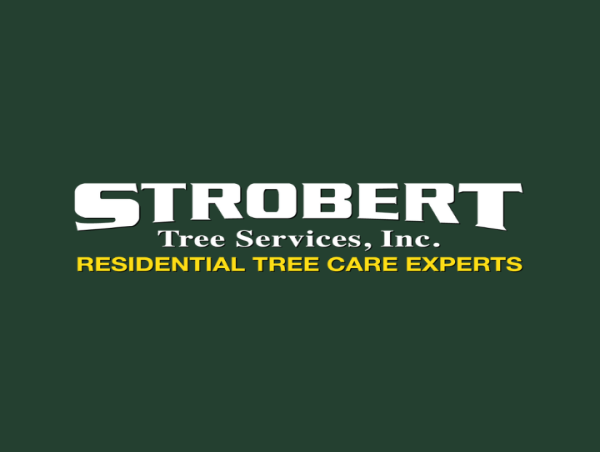  Strobert's 50 Shades of Green Campaign Brings Tree Care Awareness to Delaware and PA 