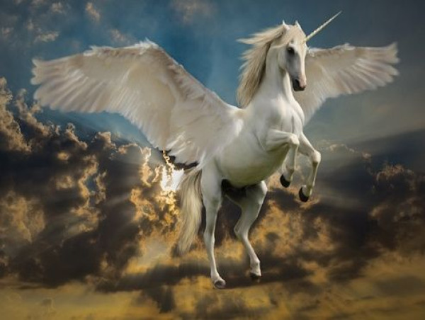 Unicorn Fart Dust (UFD) soars while Swarms and Pippin plunge