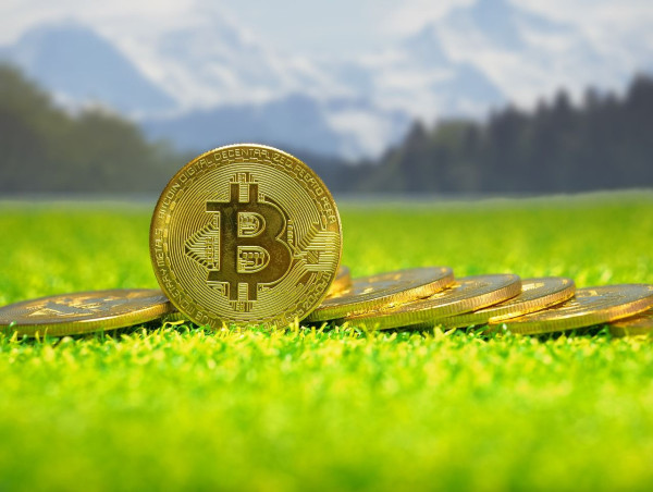 Bitcoin’s on-chain metrics signal recovery ahead, altcoins face decline