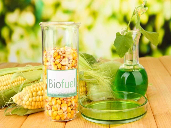  Biofuels Biodiesel Market Major Factors Affecting The Growth Of The Industry Till 2032 