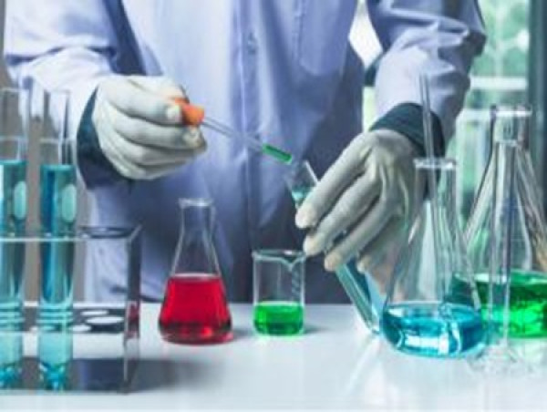 Indonesia Basic Chemicals Market Evaluation Key Indicators and Growth Projections