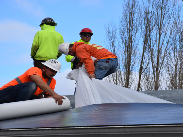  Self-Adhered Roofing Membrane with Feltbacking First of its Kind 