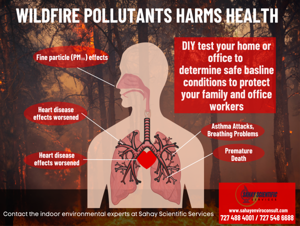  Sahay Scientific Releases Report Exploring the Health Risks of Wildfire Smoke 