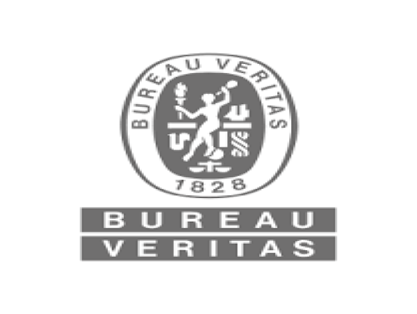  Bureau Veritas: Statement 